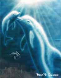 delfines tiernos bebes